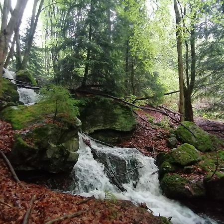 La Fortance Paradis Naturel - Proche De La Ville Planfoy Εξωτερικό φωτογραφία