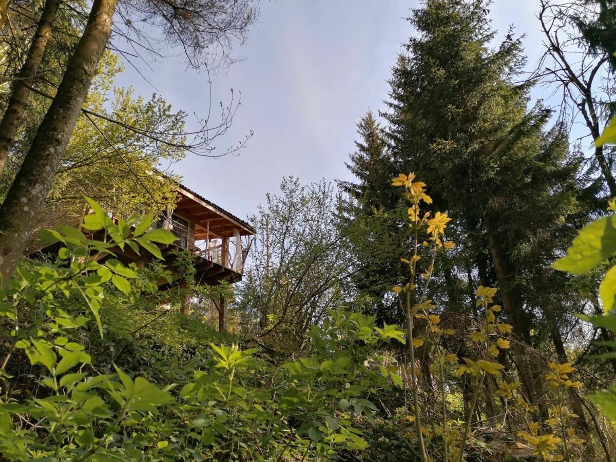 La Fortance Paradis Naturel - Proche De La Ville Planfoy Εξωτερικό φωτογραφία