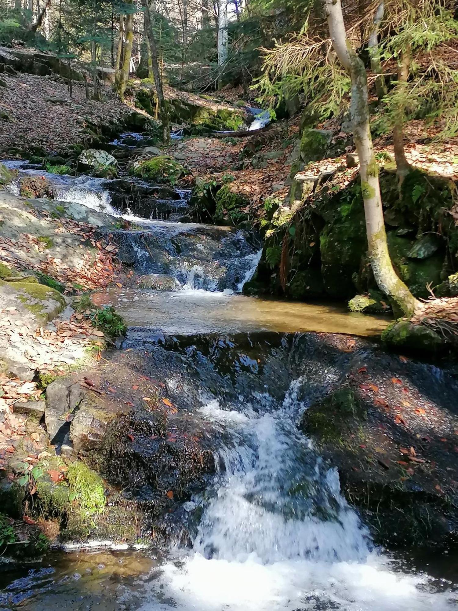 La Fortance Paradis Naturel - Proche De La Ville Planfoy Εξωτερικό φωτογραφία