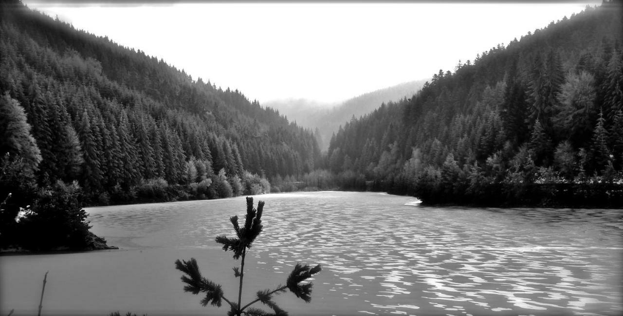 La Fortance Paradis Naturel - Proche De La Ville Planfoy Εξωτερικό φωτογραφία