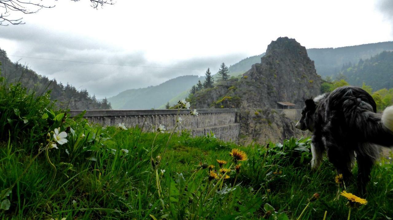 La Fortance Paradis Naturel - Proche De La Ville Planfoy Εξωτερικό φωτογραφία